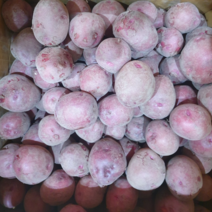 [23년] 카스테라 홍감자 자색 붉은감자, 왕특(찜/요리용)5kg, 1개