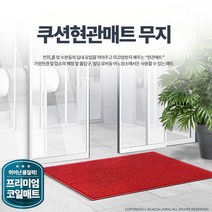 회사 엘리베이터 승강기 입구 매트 상가 발판 사무실, 1개, 무지 적색 대