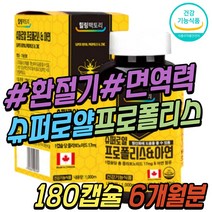청소년 항산화제 프로폴리스 1000mg 폴라폴리스 아연 캐나다 식약처인증 환절기 면역 건강 기능 보조 식품 제품 프랄보노이드 소년 수험생 초등 학생 중학생 성인 어른 온가족 추천