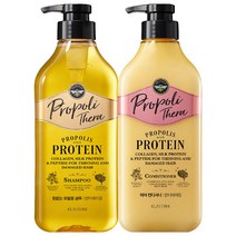 엘라스틴 프로폴리테라 안티에이징 ( 가늘고 힘없는 모발용 샴푸 500ML 1개 + 헤어 컨디셔너 500ML 1개 ) / 프로폴리스 추출물 함유