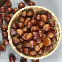 국내산 부여 군밤 용 칼집 밤 포르단 1kg 2kg, 포르단 칼집밤 1kg, 1개