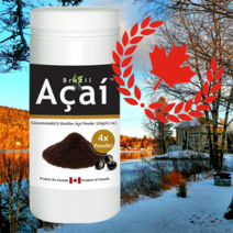 4배 농축 브라질 아사이 베리 리치 분말 가루 파우더 캐나다 영양제 124g, 1개