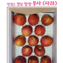 정지현식품 함양 부사 사과 10kg, 1박스, 10k