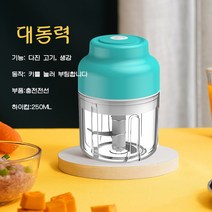 PYHO마늘 다지기 분쇄기 가정용 USB 충전 가능야채절단기 스텐 마늘 다지기SNJ07, 250ML, 녹색