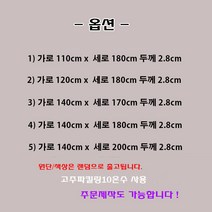 나드리몰 그랜드스타렉스 12V 두께2.8cm전기장판(투난방) 캠핑카전기장판 차박전기매트 국내생산, 5)140x200  (두께2.8cm) +3구소켓1개
