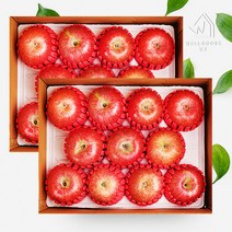 [웰굿]경북 정성담은 명품 사과선물세트 총8kg(4kg(15-16과)x2), 단품