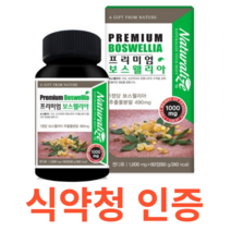 네추럴라이즈 프리미엄 보스웰리아 식약처 식약청 인정 인증 해썹 haccp 인도 유향나무 식물성 원료 테르페노이드 아연 비타민D 마그네슘 리모넨 셀레늄 판톤텐산 추출분말, 60정X5개