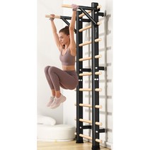 실내 헬스장 슈로스바 사다리 철봉 재활 운동 장비, 리브프레임+더블바