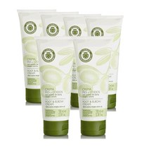 라치나타 LA CHINATA foot & elbow cream 스페인 올리브오일 풋 & 엘보우 크림 100ml, 6팩