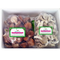 세트 생표고버섯 생느타리버섯1kg 버섯류 1kg + [W8EEB2D], 쿠팡 일반박스 포장, 쿠팡 본상품선택