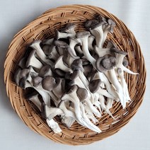 여주 느타리버섯 잡채용 업소용 농장직송 2kg, 느타리버섯 2kg