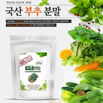 국산 부추분말 200g 채소 야채 건강 천연 조미료 가, 스타러브 1