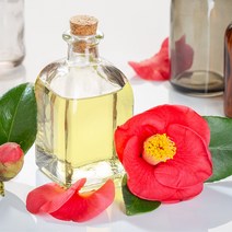 새로핸즈 동백오일 베이스 오일 500ml 동백유, 단품