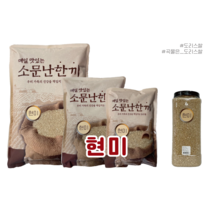 도리스 2021년 국산 현미 1kg 2kg 4kg 잡곡 현미쌀 소포장쌀 자취 1인가구 용기포장 통에담긴 다이어트 당뇨에좋은 건강한 맛있는 밥상, 1개