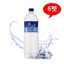 광천수 2Lx6펫 /B
