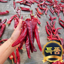 22년 해남 건고추 햇고추 해남 홍고추, 해남 햇 건고추 5근(3kg)