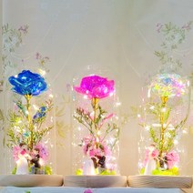 LED 장미 홀로그램 유리돔 카네이션 신랑신부커플 피규어 인테리어무드등 로즈데이 성년의날 커플 신혼부부, 블루
