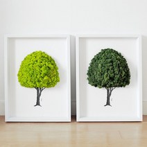 앨빈디자인 스칸디아모스 액자 6호 인테리어 공기정화식물 내추럴, 1개