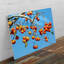 tc753-폼아크릴액자78CmX56Cm_돈들어오는감그림2, 1.재물