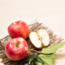 산지직송 홍로 사과 햇사과 꿀 강원도 고랭지사과, 5kg, 홍로사과 대(12내외), 1개