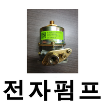 전자펌프, 전자펌프(10K 1.0G (220V)