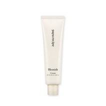 파파레서피 블레미쉬 크림 100ml, 1개