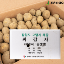 강원도 왕산면 채종 하우스 씨감자 수미 20kg 보급종 감자씨
