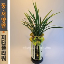 치타플라워 동양란 황금채홍 [CD06-009] 승진 개업 축하 난 동양난 영전 취임 생일 선물 화분 고급 란 전국 당일 배송 꽃배달