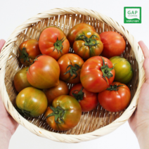당도보장 대저 짭짤이 토마토 2.5kg 로얄과 특상품 GAP 우수 인증 제품, 로얄과 2.5kg 혼합과 2S~M