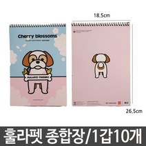 [AJZ_0581766] 근영사 훌라펫 종합장 초등 무지연습장 초등학생종합장 초등종합장 스프링연습장 무지종합장