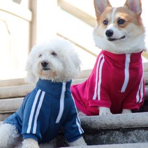 펫보스 강아지옷 애견옷 중대형견 트레이닝집업, 블루