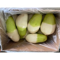 [무우]제주 월동 세척무, 20kg