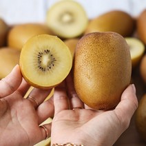 키위 골드키위 뉴질랜드 제스프리, 1kg 개당155g내외(점보 7과내외)