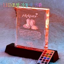 크리스탈 감사패 무드등기능 부모님 감사패 회갑 칠순 퇴임 퇴직 공로패 자개 원목, 크리스탈 3D패 2인초상, 1개