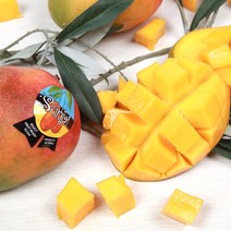블랙프리미엄 고당도 브라질 애플망고 2kg 생망고 수입 열대과일 망고