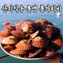 국산 통영 가리비 홍가리비 단풍가리비 11월 12월 1월 2월 제철 음식 1kg 2kg 3kg 5kg 10kg, [배송비 포함] 1kg (25-30미)