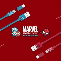 고속충전케이블 마블 USB 5핀 C타입 젠더 2in1 1m, 스파이더맨, 1개