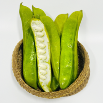 국내산 햇 생 작두콩 2kg 4kg, 01_생 작두콩 2kg, 1개