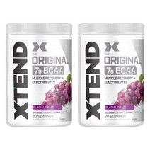 익스텐디드헬스 더 오리지널 7g BCAA 글레이셜 포도 맛, 420g, 2개