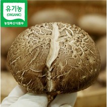 유기농 국내산 건표고버섯 참나무 재배 1kg, 3.동고1kg, 1개