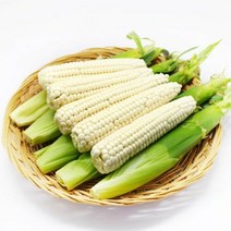 [생산자직송] 괴산 공정임님의 급냉 찰옥수수(중) 21개, 단품