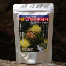 토종 가시 흰 홍화씨 분말 250g~ 겨울나고 유황뿌린 홍화씨, 250그램 2개, 2개
