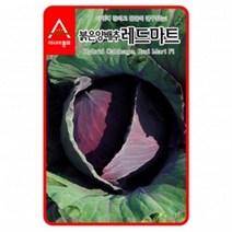 (양배추씨앗종자) 레드마트 양배추(500립), 1개