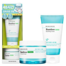브링그린 대나무히알루수분크림100mL더블기획 랜덤샘플증정