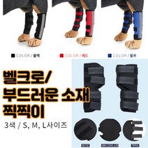 최강몰 강아지 말티즈 슬개골 쓸개골 고관절 골절 탈골 탈구 마사지 보호대 S M L 쓸개골보호대, 레드S