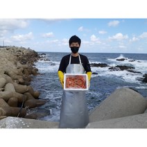 김프로 [산지직송 100%] 품질보장 연지홍게/박달홍게, [산지직송 100%] 품질보장 생물 박달홍게 대1마리