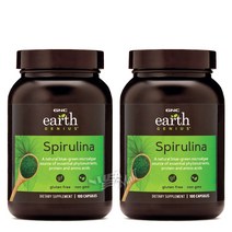 지엔씨 슈퍼푸드 스피루리나 100정 GNC SPIRULINA, 2개