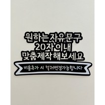 내맘대로 커스텀제작 토퍼 에일린토퍼 자유문구 맞춤제작 오픈찬스 여행•생일•환갑•기념일 등 이벤트토퍼