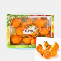 이지리치 한라봉 3KG 10-12과 한라봉3KG 제주한라봉선물세트