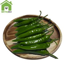 [정이가는동네] 국내산 청양고추 (특.상) 오이고추 꽈리고추 1Kg